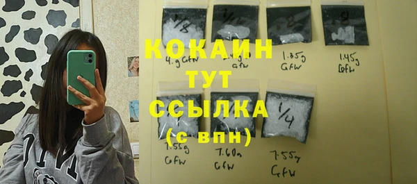 ПСИЛОЦИБИНОВЫЕ ГРИБЫ Осинники