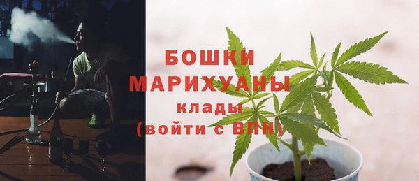 ПСИЛОЦИБИНОВЫЕ ГРИБЫ Осинники