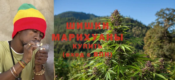 ПСИЛОЦИБИНОВЫЕ ГРИБЫ Осинники