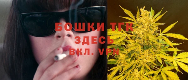 ПСИЛОЦИБИНОВЫЕ ГРИБЫ Осинники