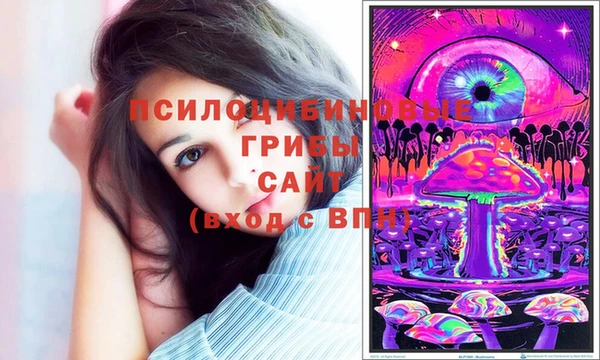 mdpv Остров