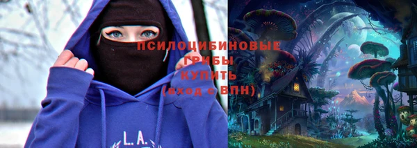 ПСИЛОЦИБИНОВЫЕ ГРИБЫ Осинники