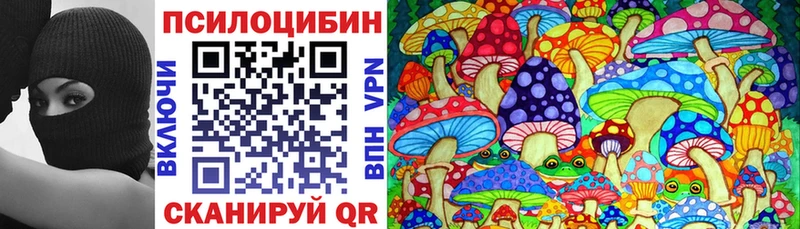 Купить  Фатеж  Галлюциногенные грибы Psilocybe 